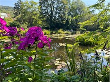 20-Girerny-Water-Lillies