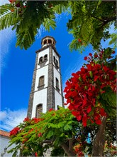 089_16-Tenerife-062024