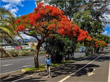 090_55-Tenerife-062024