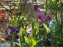 136_01-Girerny-Water-Lillies