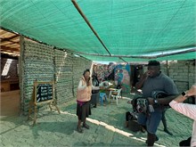 043_32-Mondesa