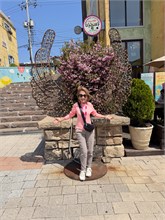 040-Us_Korea-Japan