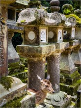 038-Kasuga-Grand-Shrine