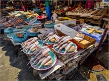 064-Food_Korea-Japan