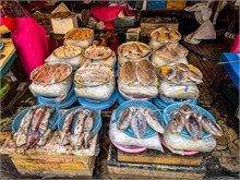 066-Food_Korea-Japan