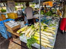206-Food_Korea-Japan