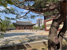 033-Seoul-2025