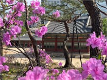 043-Seoul-2025