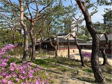 045-Seoul-2025