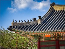 029-Deoksugung-Palace