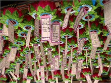 047-Gyeongiu