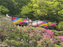 009-Seokguram