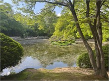003-Bulguksa-Temple