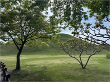 006-Daereungwon