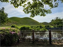 009-Daereungwon