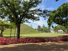010-Daereungwon