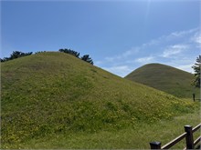 035-Daereungwon