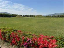 041-Daereungwon