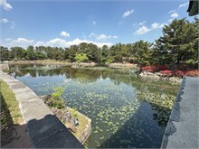 003-Anapji-Pond