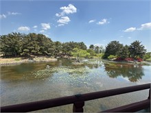 005-Anapji-Pond