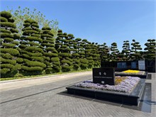 005-UN-Memorial-Cemetary
