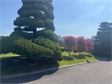 007-UN-Memorial-Cemetary