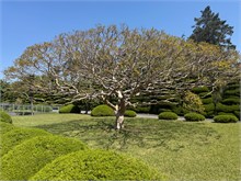 020-UN-Memorial-Cemetary