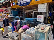 004-Jagalchi-Fish-Market