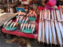 014-Jagalchi-Fish-Market