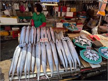 016-Jagalchi-Fish-Market