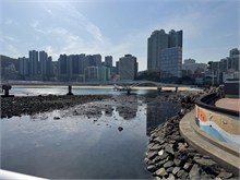 045-Busan