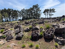 005-Jusangjeolli-Cliff