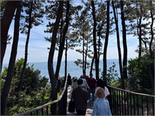 006-Jusangjeolli-Cliff