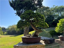 007-Spirited-Garden