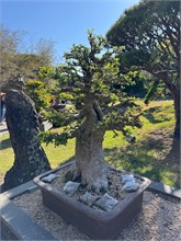 009-Spirited-Garden