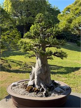 010-Spirited-Garden