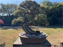 011-Spirited-Garden
