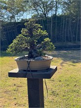 015-Spirited-Garden