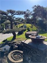 019-Spirited-Garden