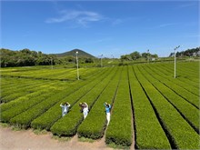 020-Jeju-Island