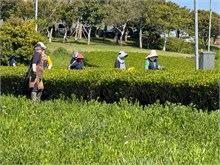 025-Jeju-Island