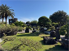 033-Jeju-Island