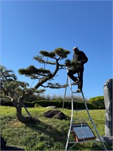 037-Jeju-Island