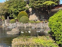 038-Jeju-Island