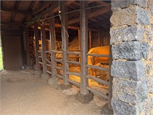 024-Seongeup-Folk-Village