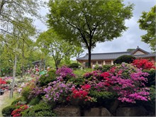 070-Seoul-2nd-Visit