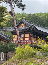 002-Tea-ceremony