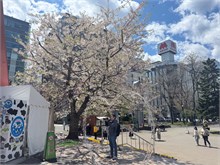 017-Sapporo-0505