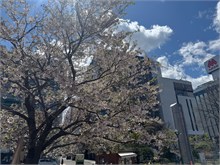 018-Sapporo-0505