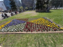 020-Sapporo-0505